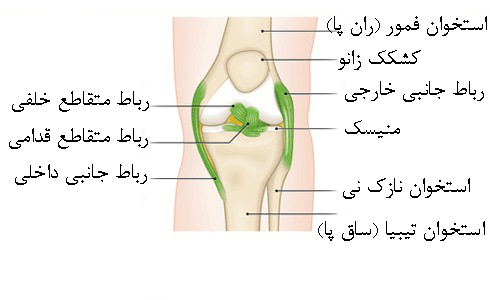 علت خالی کردن زانو | درمان دیسک کمر اصفهان